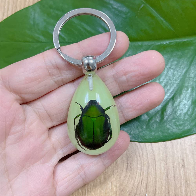 [Australia - AusPower] - QTMY 6 Pack Insect in Resin Specimen Collection Luminous Glow in The Dark Keychain Keyring ,Halloween Christmas Science Classroon Decor Kits Set Education 
