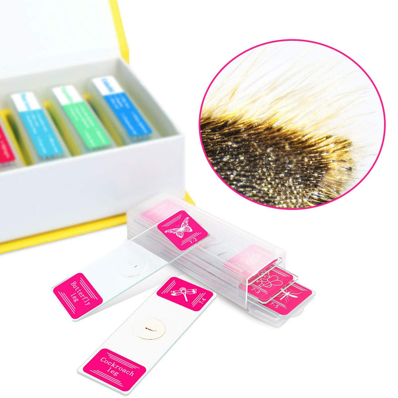 [Australia - AusPower] - Bysameyee 35PCS Prepared Microscope Slides with 7 Types Specimens, Insect/Plant Glass Sample Slide for Kids Adults Family Preschool Education Scientific Enlightenment 