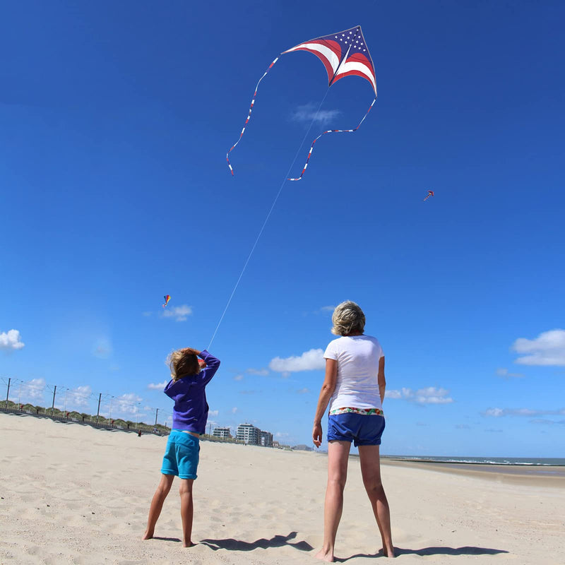 [Australia - AusPower] - Mint's Colorful Life Delta Kite for Kids & Adults, Extremely Easy to Fly Kite, Best Kite for Beginner 