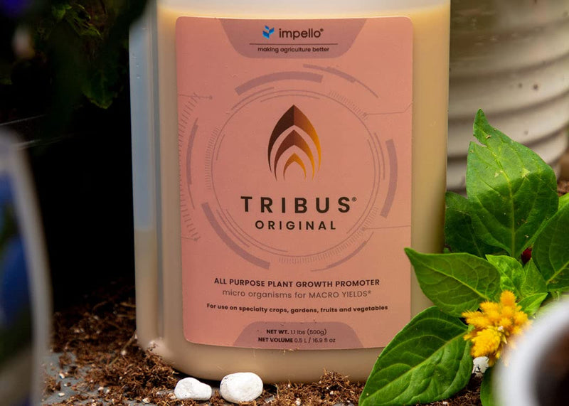 [Australia - AusPower] - TRIBUS® - Seedling to Harvest Microbial inoculant - Treats up to 500 gallons of Water 250ml 