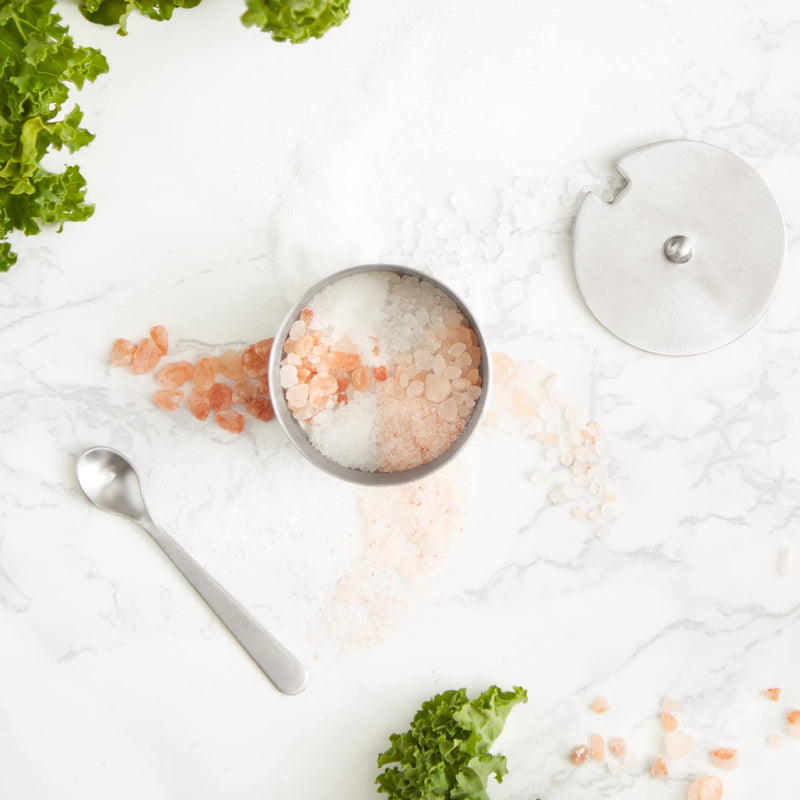[Australia - AusPower] - RSVP International Endurance Kitchen Collection Salt Cellar Set with Spoon, Dishwasher Safe, 2-Ounce, Brushed Stainless Steel 