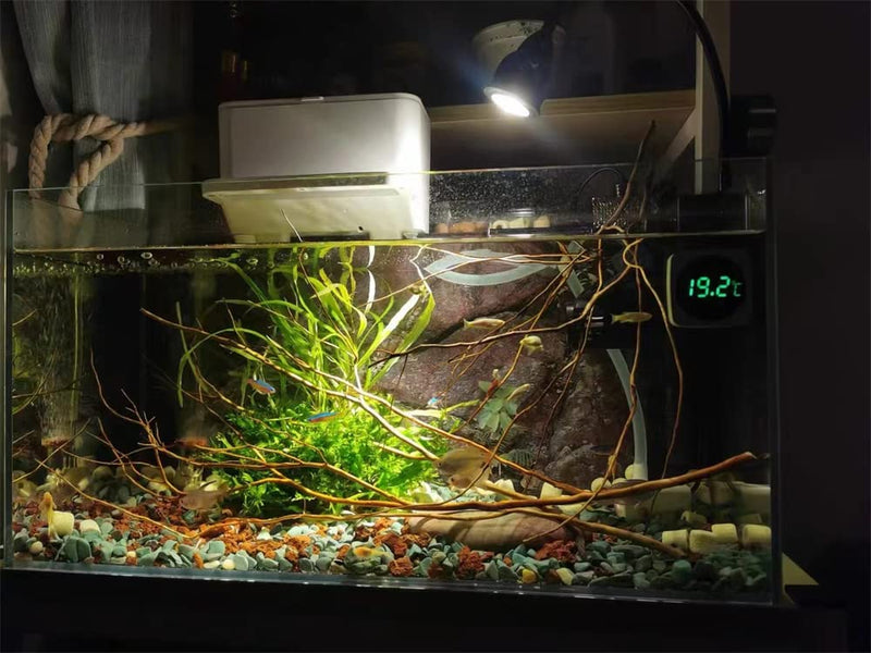 [Australia - AusPower] - Aquarium Thermometer, LED Touch Screen Fish Tank Thermometer Accurate Stick-on Fish Tank Temperature Sensor for Fish Turtle Betta Fish Amphibians Reptiles 