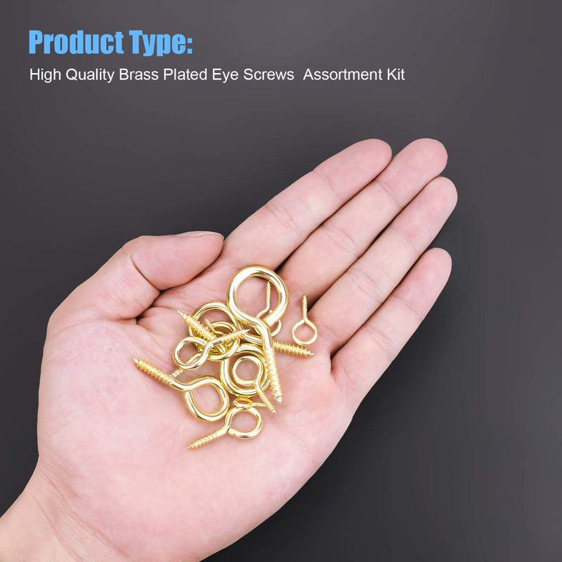 [Australia - AusPower] - DYWISHKEY 240PCS 12 Sizes Brass Plated Steel Eye Bolts Screw Eyes Assortment Kit 