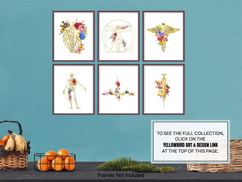 [Australia - AusPower] - Doctor Nurse Wall Art Decor - Medical Office Wall Decoration Set - Appreciation Gift for Physician Assistant, EMT, First Responder, RN, Physical Therapist, Chiropractor, Med Student - 8x10 Posters 