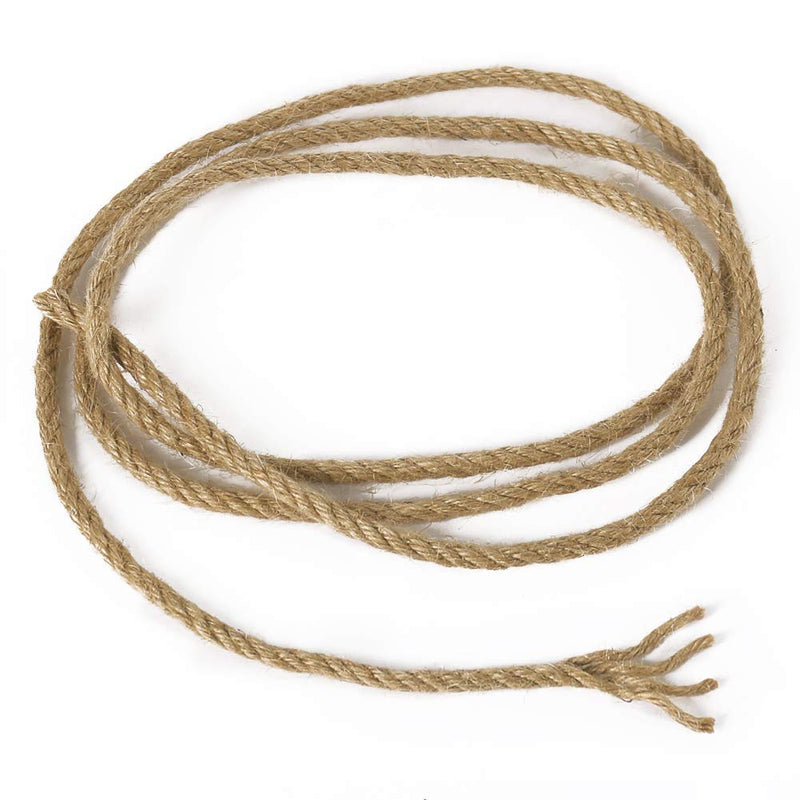 [Australia - AusPower] - Tenn Well 5mm Jute Twine, 100 Feet 4Ply Twisted Heavy Duty and Thick Twine Rope for Gardening, Crafting, Packing, Bundling and Home Decor 5mm Thick 100 Feet 