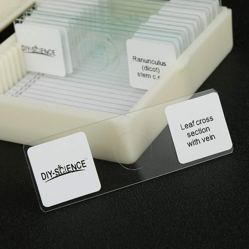 [Australia - AusPower] - Prepared Apologia Biology Microscope Slides Set, Pack of 16pcs Specimens Specifically for Biology Course 