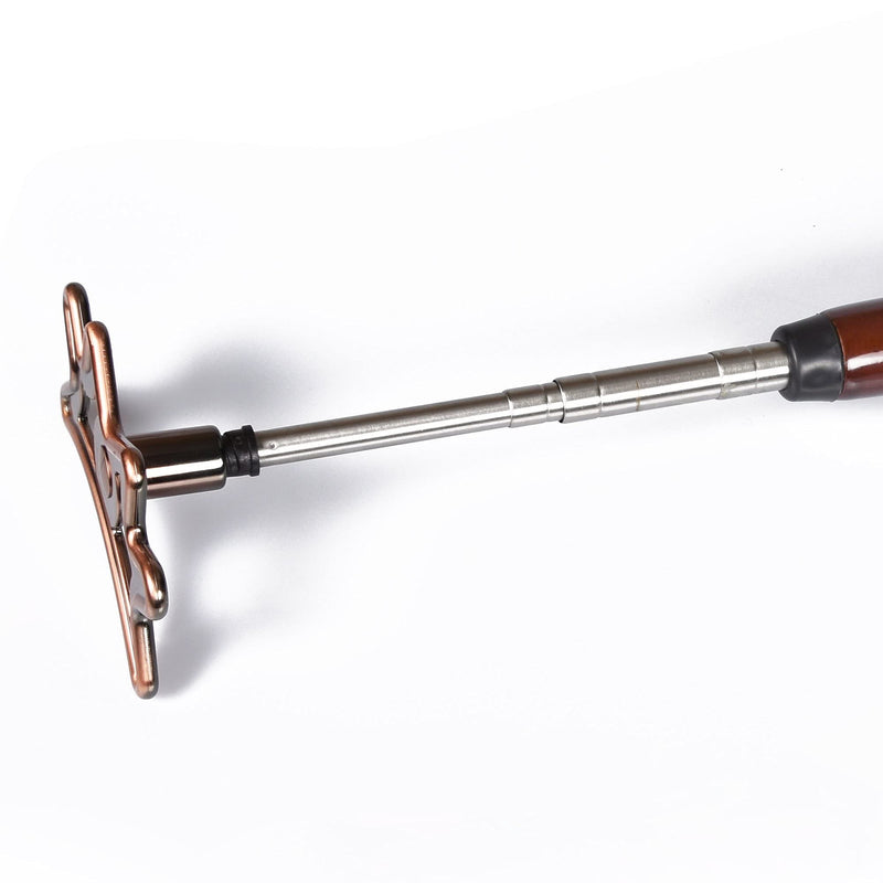 [Australia - AusPower] - ISPIRITO Billiard Bridge Retractable Pool Stick with Removable Bridge Head Portable Design Screw on Bridge Head Pool Cue Accessory 