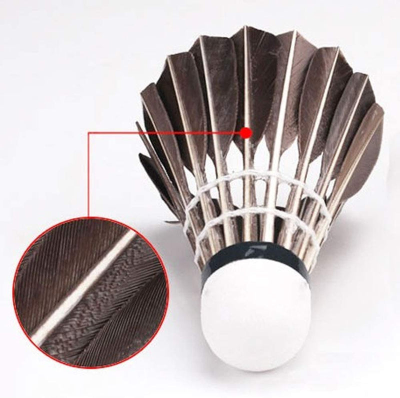 [Australia - AusPower] - ZHENAN 12-Pack Advanced Feather Badminton Shuttlecocks Birdies with Great Stability and Durability, Shuttlecocks Indoor Outdoor Sports Hight Speed Training Badminton Balls 