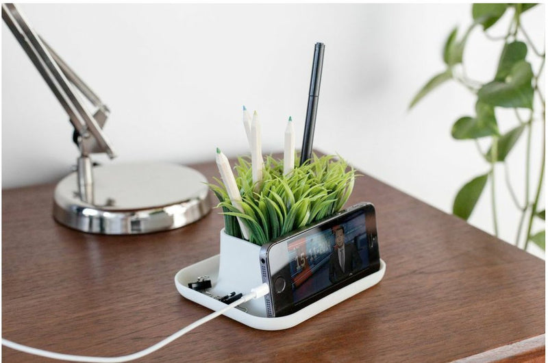 [Australia - AusPower] - Kikkerland Potted Pen Phone Stand (SC25) 