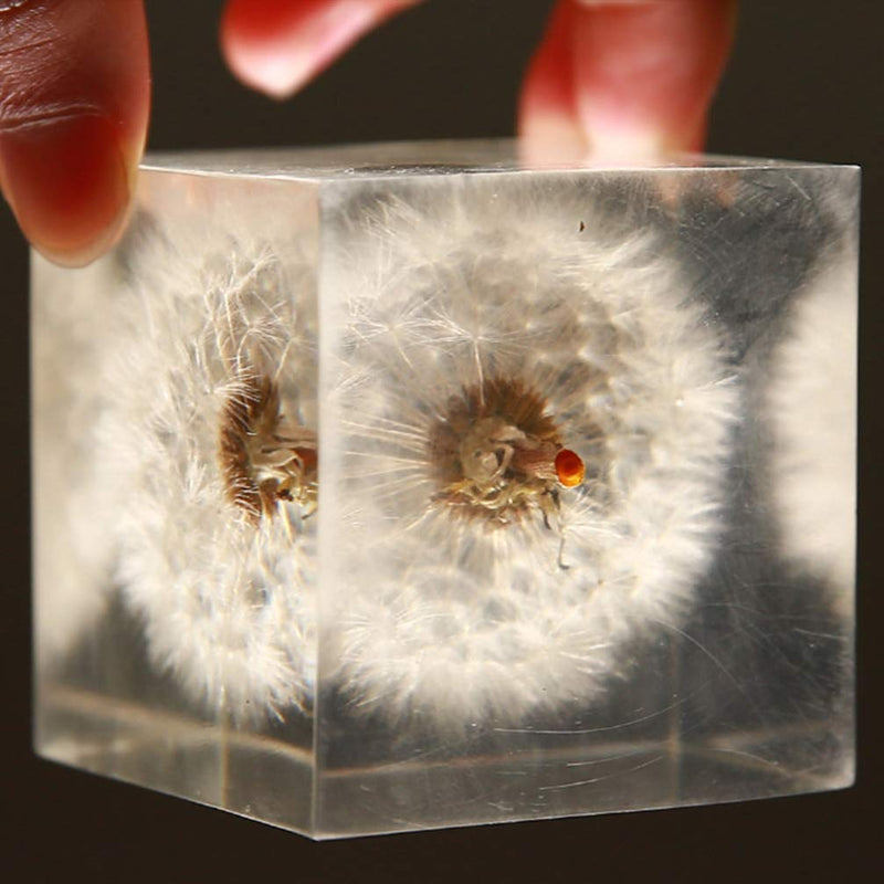 [Australia - AusPower] - ARTIBETTER 3D Dandelions Paperweight Real Puff Specimen Statue in Crystal Glass Cube Desk Ornament Fengshui Decor for Graduation Birthday Gift Glass Balls 