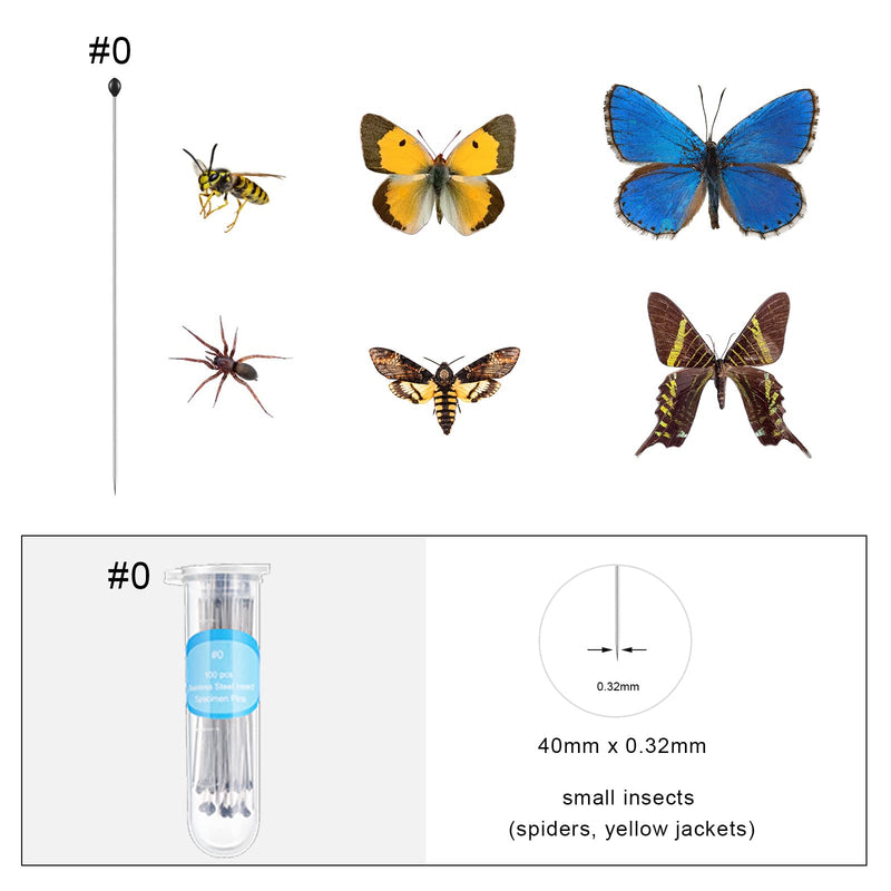 [Australia - AusPower] - Insect Display Case Box Collection Box with Clear Top, EVA Foam Pinning Board and 100 Pieces Pins Insect Shadow Box Kit Entomology Supplies for Collecting Butterfly Specimen (White) White 