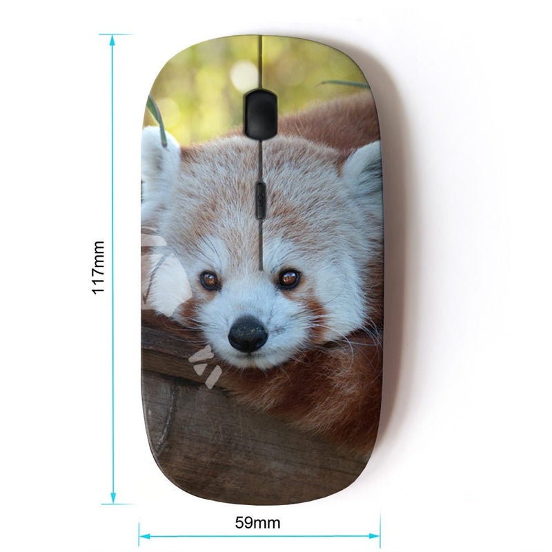 [Australia - AusPower] - KOOLmouse [ Optical 2.4G Wireless Mouse ] [ Little Red Panda Bear Face Tree Tail Animal ] 