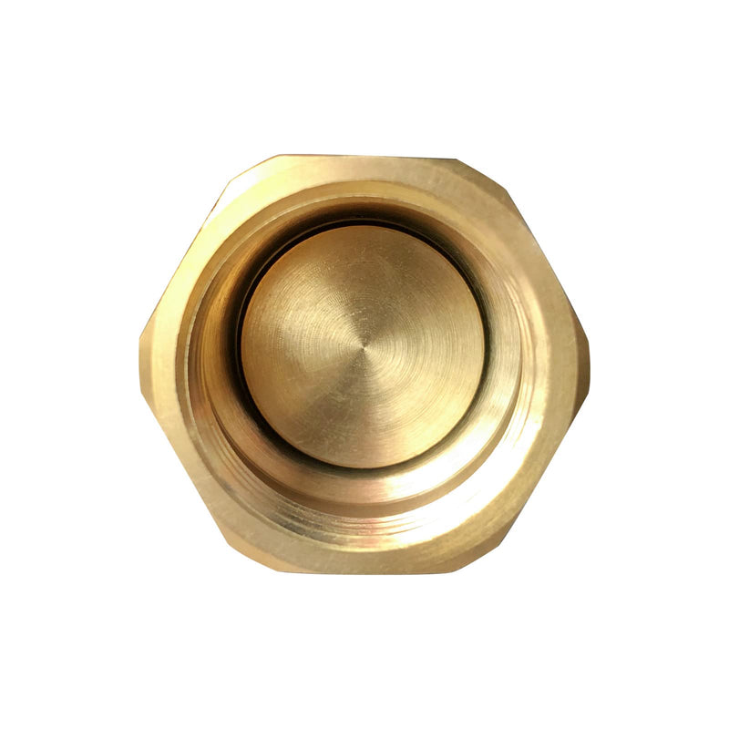 [Australia - AusPower] - Brass Foot Valve 3/4 inch NPT Heavy Duty Spring Mesh Check Valve Female Connection One Way Foot Valve Backflow Preventer with Holes Strainer Filter for Well Jet Pumps Foot Valv (3/4'' NPT) 3/4'' NPT 