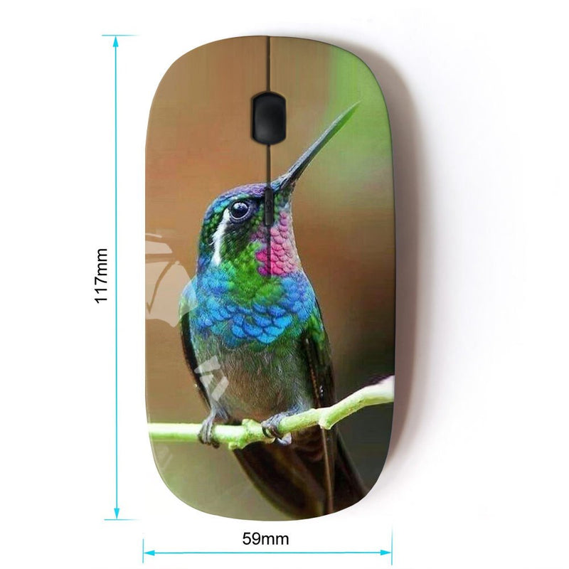 [Australia - AusPower] - KawaiiMouse [ Optical 2.4G Wireless Mouse ] Hummingbird Tiny Cute Tropical Exotic 