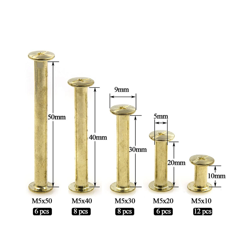 [Australia - AusPower] - NA Alloypro 80 Pcs Phillips Chicago Binding Screws M5 x 1020304050mm (Golden M5x1020304050) Golden M5x10/20/30/40/50 