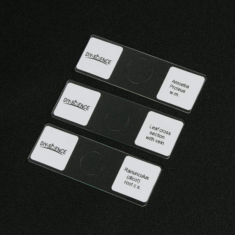 [Australia - AusPower] - Prepared Apologia Biology Microscope Slides Set, Pack of 16pcs Specimens Specifically for Biology Course 