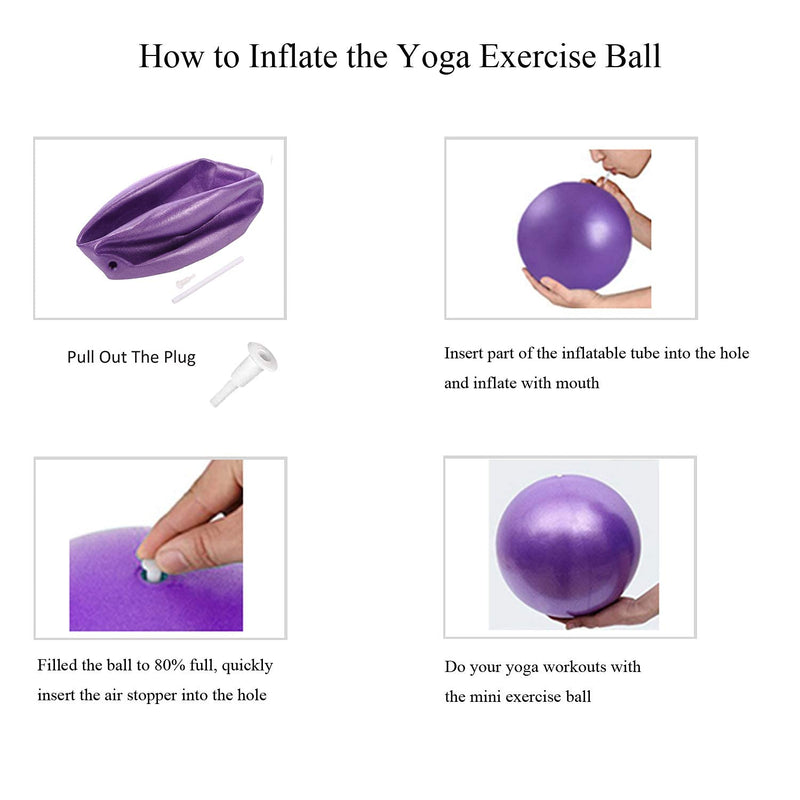 [Australia - AusPower] - nononfish Mini Exercise Barre Ball for Yoga,Pilates, Stability Exercise Home Workout, Core Training and Physical Therapy Small Bender Ball 9 Inch with Inflatable Straw 