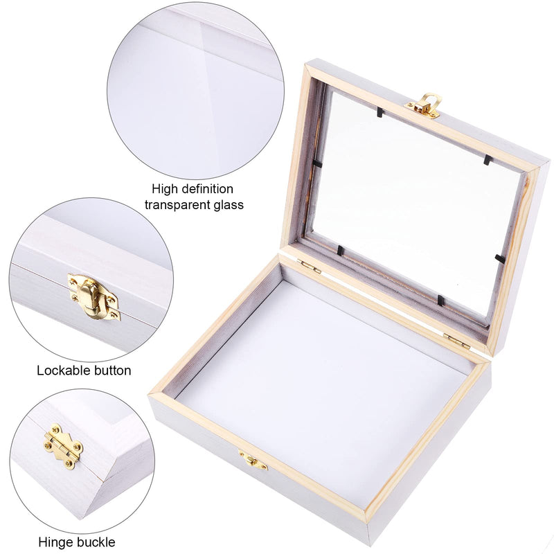 [Australia - AusPower] - Insect Display Case Box Collection Box with Clear Top, EVA Foam Pinning Board and 100 Pieces Pins Insect Shadow Box Kit Entomology Supplies for Collecting Butterfly Specimen (White) White 