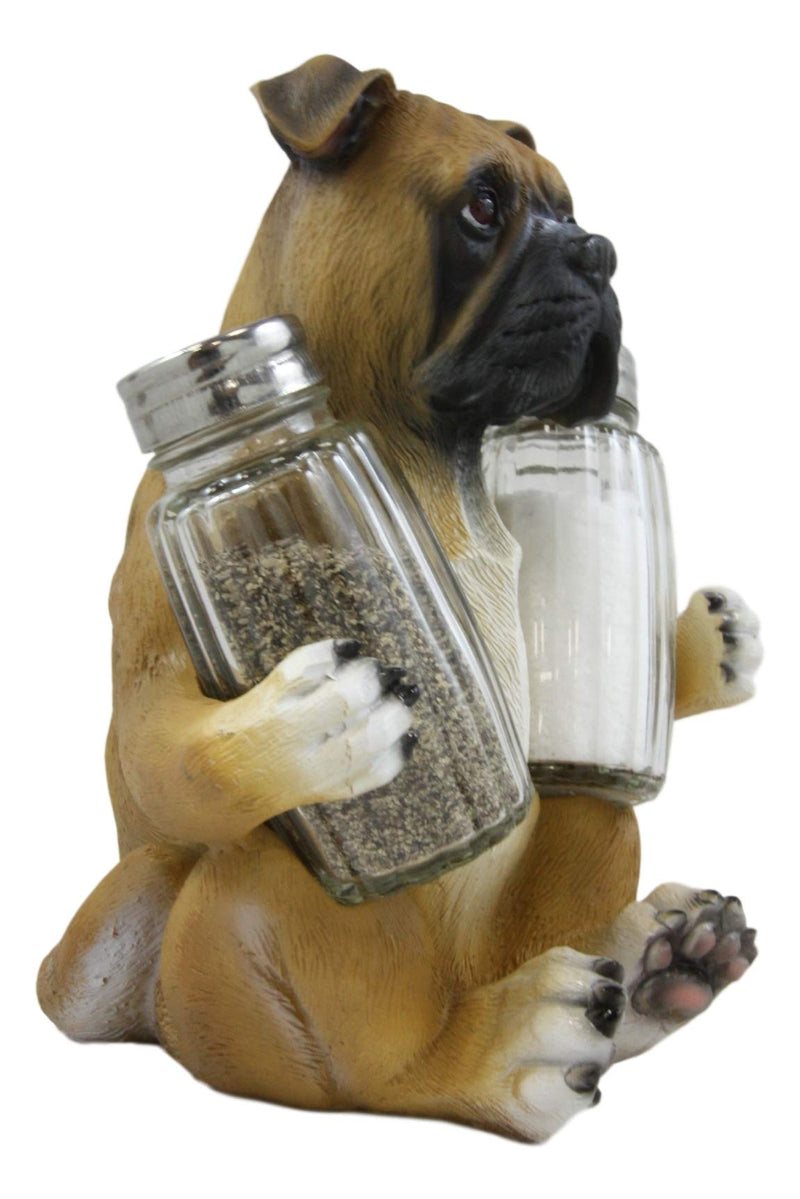 [Australia - AusPower] - Ebros Gift Realistic Fawn Boxer Puppy Dog Hugging Glass Salt Pepper Shakers Holder Decorative Statue 6.25"High Resin Dogs Boxers Memorial Pets Pet Pal Animal Home Kitchen Spice Organizer Figurine 