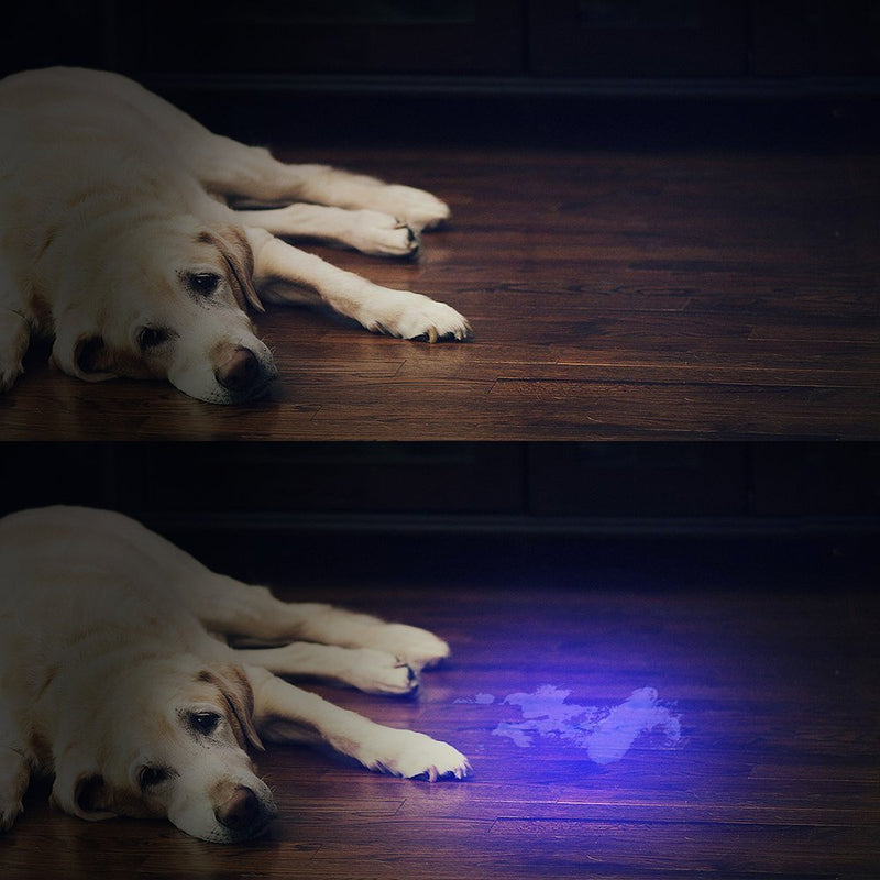 [Australia - AusPower] - UV Flashlight Black Light , Vansky 51 LED Blacklight Pet Urine Detector for Dog/Cat Urine,Dry Stains,Bed Bug, Matching with Pet Odor Eliminator 