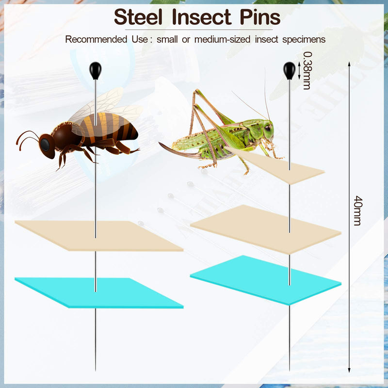 [Australia - AusPower] - Stainless Steel Insect Pins Specimen Pins Entomology Pins Dissection and Butterfly Collections Needle for School Lab Entomology Dissection Butterfly Collectors (500 Pieces,Size 2) Size 2 500 