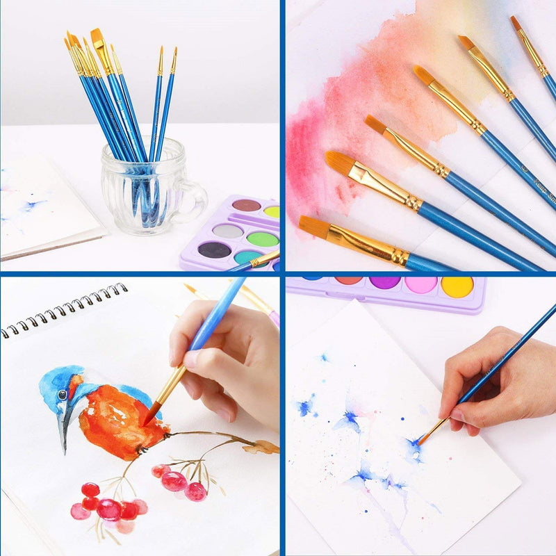 [Australia - AusPower] - Acrylic Paint Brush Set, 6 Packs / 60 pcs Nylon Hair Brushes for All Purpose Oil Watercolor Painting Artist Professional Kits Paint Brush Set A-60P 