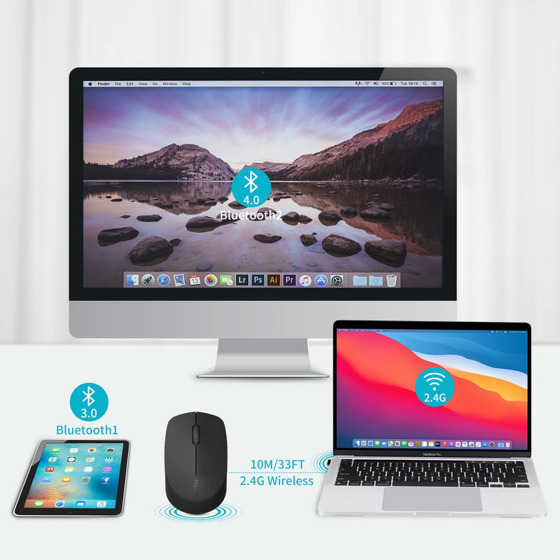 [Australia - AusPower] - RAPOO Bluetooth 2.4G Wireless Mouse, 2 Bluetooth Channels with 1 USB Receiver Noiseless Mouse, Connect up to 3 Devices, Portable Computer Mice for PC, Tablet, Laptop-Black BLACK 