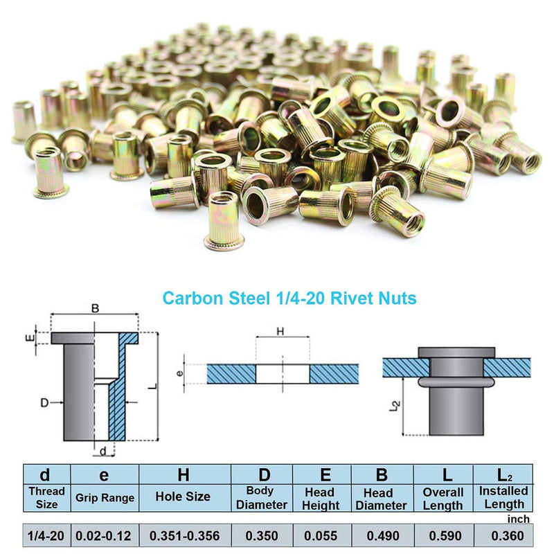 [Australia - AusPower] - Xtozon 100 Pcs 1/4" - 20 UNC Rivet Nuts, Zinc Plated Finish Carbon Steel, Flat Head Threaded Inserts Nutser 