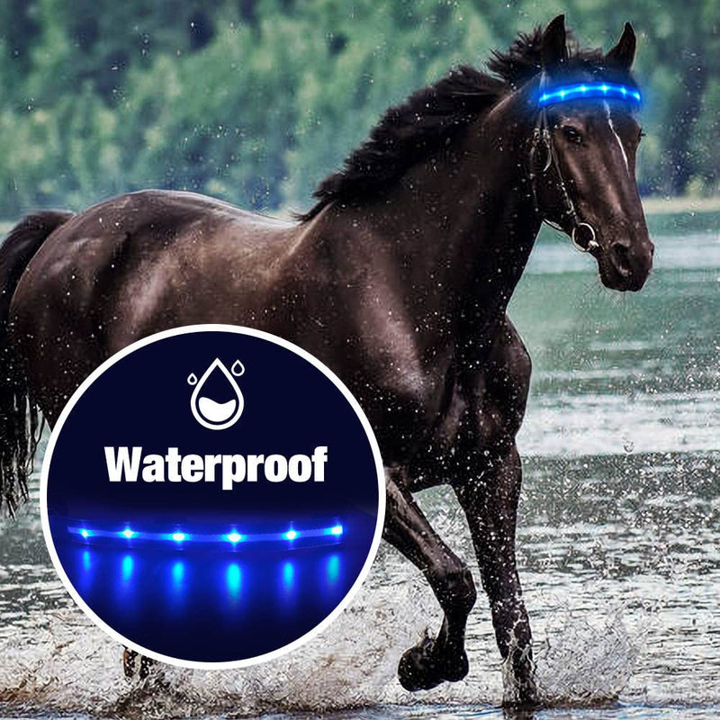 [Australia - AusPower] - LED Horse Tack Rechargeable - LED Horse Accessories - LED Horse Head Collar - Equestrian Equipment - Horse Equipment 