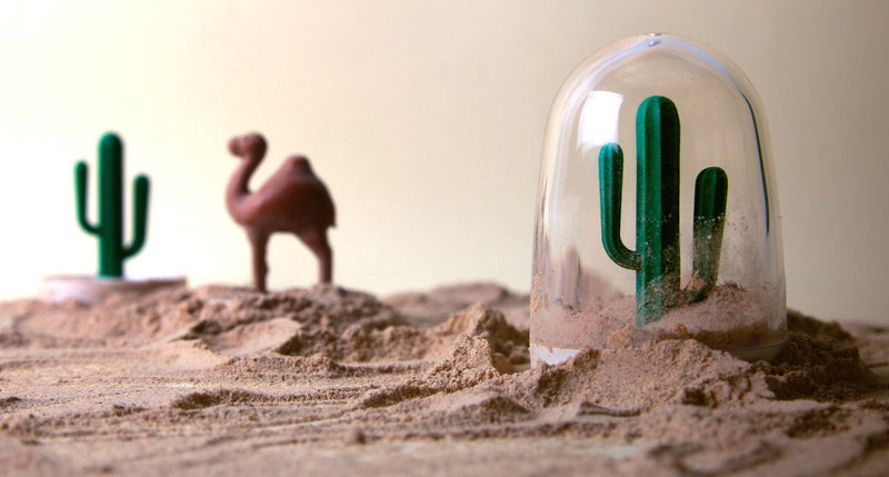 [Australia - AusPower] - QUALY Winter Summer Salt & Pepper Shaker Set 