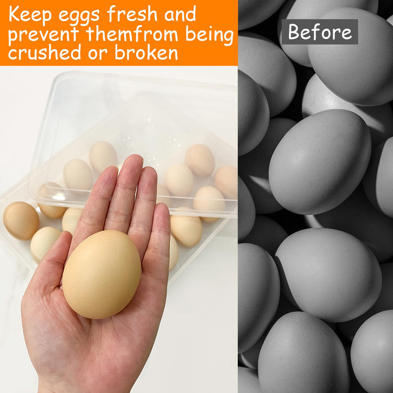 [Australia - AusPower] - Jgalnim 3Pack Egg Trays,Deviled Egg Containers with Lid,Egg Container Carrier,Refrigerator Portable Egg Trays for 72 Eggs Storge Holder Easter Day Thanksgiving Party Home Kitchen Supplies 