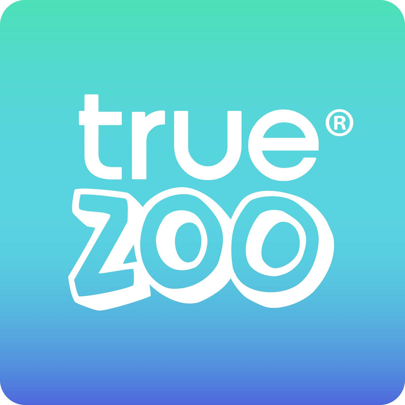 [Australia - AusPower] - True Zoo Cactus Shot Glasses, Holds 2 Ounces, Set of 4, Green, Novelty Succulent Party Shot Glasses for Cinco de Mayo 