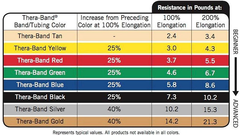 [Australia - AusPower] - THERABAND Professional Latex Resistance Tubing with Handles For Physical Therapy, Lower Pilates, At-Home Workouts, and Rehab, Soft Handles, 48 Inch, Blue, Extra Heavy, Intermediate Level 2 Blue - Extra Heavy 