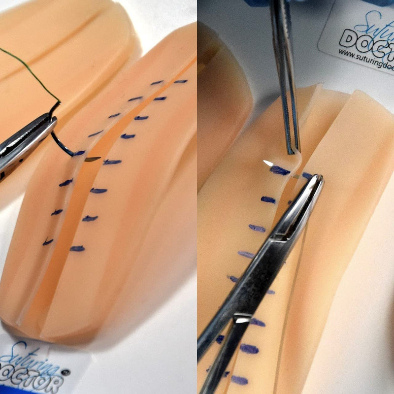 [Australia - AusPower] - Berkleys Pledget Suturing Practice Workstation a Variety of Pledgets & Knot Trainer Included to Develop Core Suturing Skills & Techniques, for Dental & Medical Student,Vet Tech, Limited Edition 