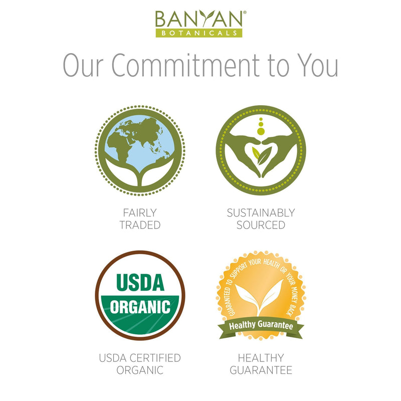 [Australia - AusPower] - Banyan Botanicals Breast Care Balm – Organic Herbal Salve with Tulsi & Palmarosa – for Breast Health – Promotes Healthy Circulation & Lymphatic Drainage – 4oz – Non GMO Sustainably Sourced Vegetarian 