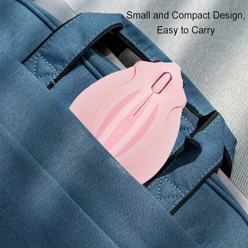 [Australia - AusPower] - CHUYI Animal Cartoon Hamster Shape Mini Travel Wireless Mouse 1200DPI Portable Optical Small Cordless Mice for Computer Laptop PC (1 Blue, 1 Pink) 