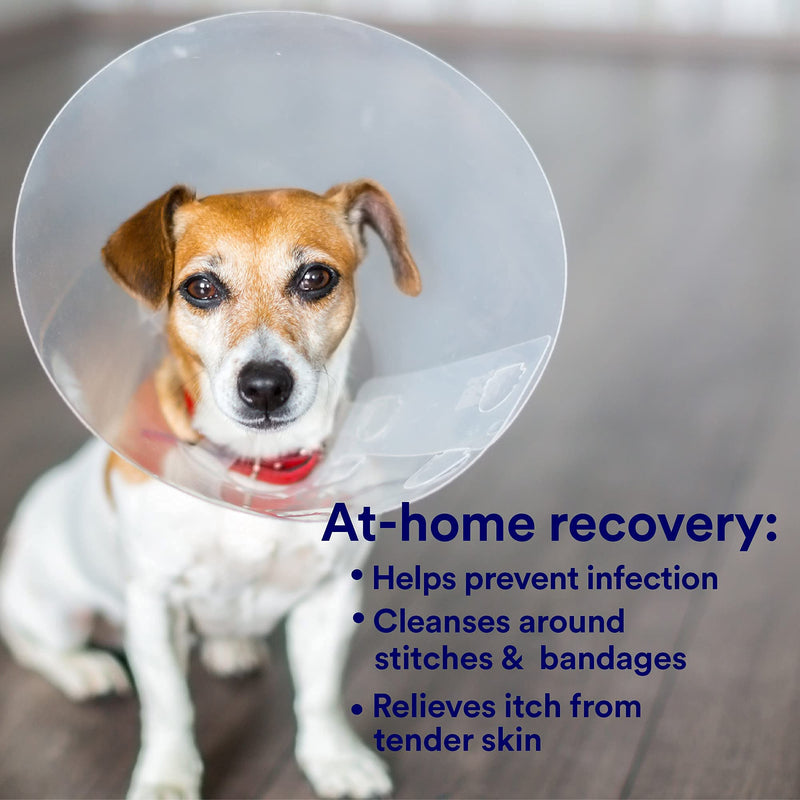 [Australia - AusPower] - SkinSmart Antimicrobial Skin and Wound Care for Pets, Removes Bacteria to Promote Healing and Relieves Itch, 8 Ounce Spray Bottle 
