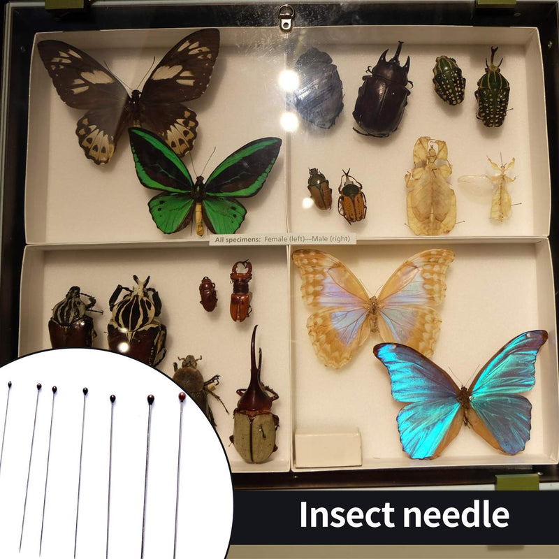 [Australia - AusPower] - Fpxnb 350 Pcs Stainless Steel Insect Pins in 7 Sizes, Specimen Entomology Pins and Butterfly Collections Needle for School Lab Butterfly Collectors with Vials & Labels 