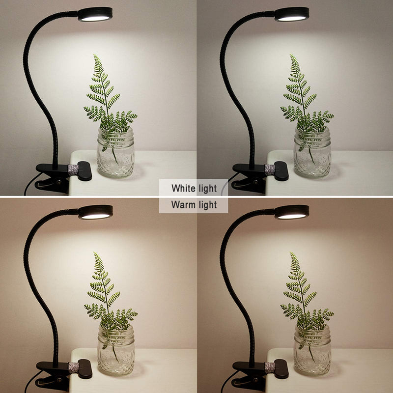 [Australia - AusPower] - LEPOWER Clip on Light / Reading Light/ Light Color Changeable/ Night Light Clip on for Desk, Bed Headboard and Computers (Black) Black 