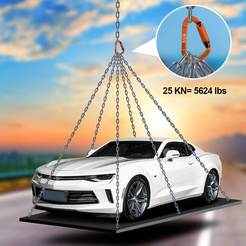 [Australia - AusPower] - FVW Auto Locking Rock Climbing Carabiner Clips,Professional 25KN (5620 lbs) Heavy Duty Caribeaners for Rappelling Swing Rescue & Gym etc,Large Carabiners,D-Shaped 