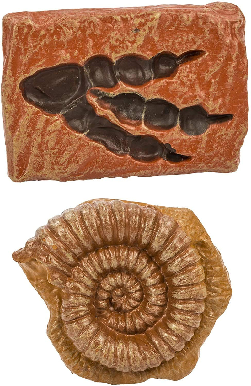 [Australia - AusPower] - Safari Ltd Ancient Fossils TOOB with 10 Toy Figurines Including Dino Footprint, Giant Crab, Ammonite, Raptor Claw, Fossilized Frog, Trilobite, T-Rex Tooth, Fossilized Fish, Dino Skin, and Sea Scorpion 