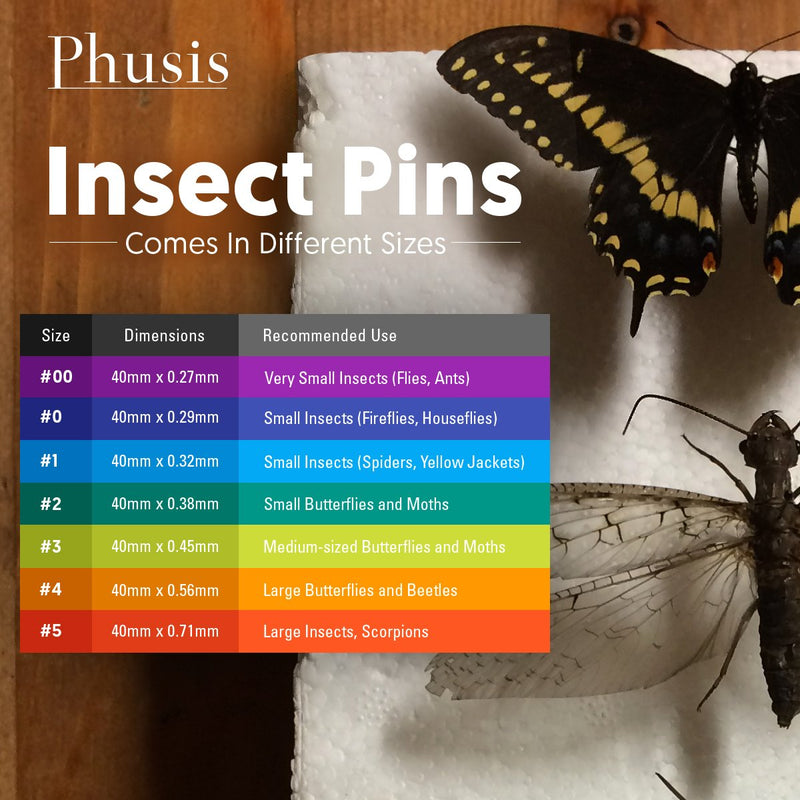 [Australia - AusPower] - Phusis Stainless Steel Insect Pins | Size #0 | 300 Pieces| 3 Vials of 100 Pins | Includes Sturdy Storage Containers | for Entomology, Dissection, Butterfly Collections 