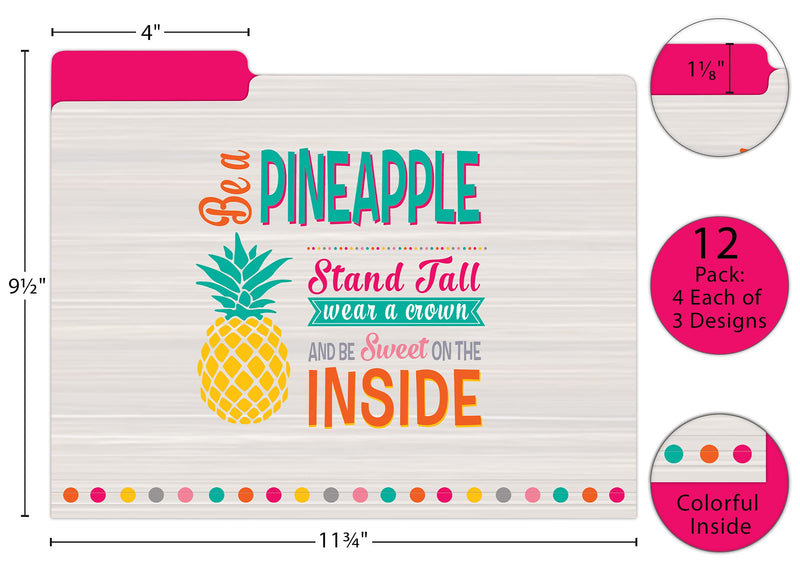 [Australia - AusPower] - Teacher Created Resources Tropical Punch File Folders (TCR8538) 