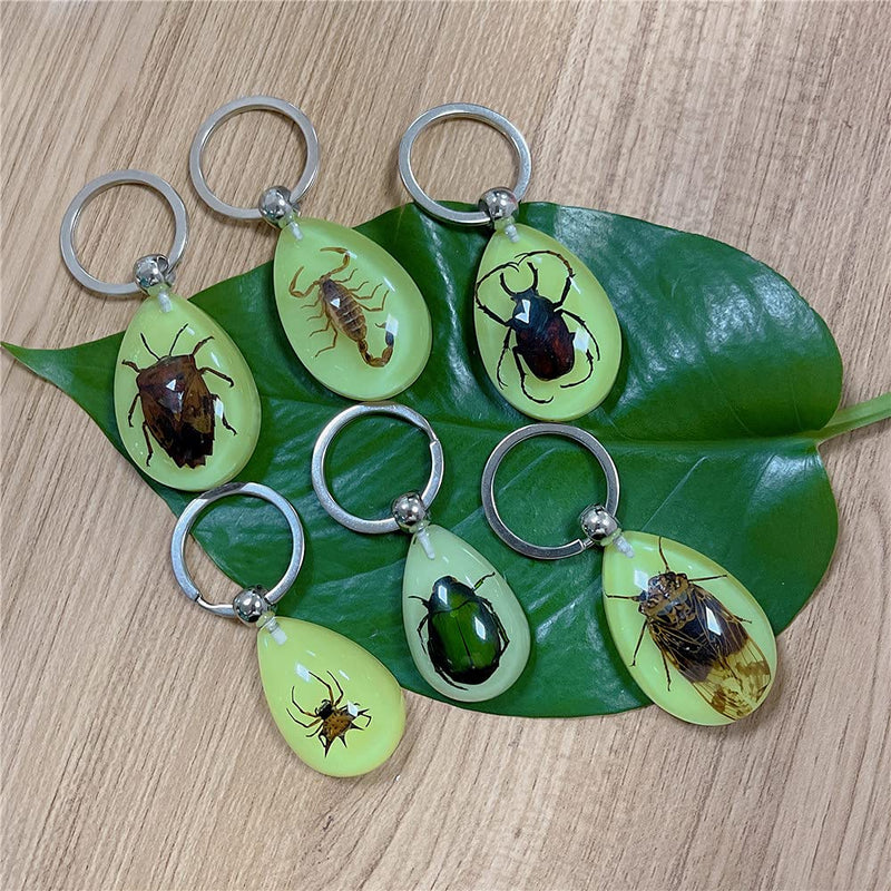 [Australia - AusPower] - QTMY 6 Pack Insect in Resin Specimen Collection Luminous Glow in The Dark Keychain Keyring ,Halloween Christmas Science Classroon Decor Kits Set Education 