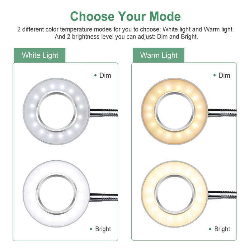 [Australia - AusPower] - GLORIOUS-LITE LED Clip on Light, 36 LED Reading Light, 4 Modes Book Light, 360° Rotation Gooseneck Reading Lamp, Eye-Caring Clip on Lamp for Bed, Desk,Computer, Headboard, Dorm Room(Silver) Silver 