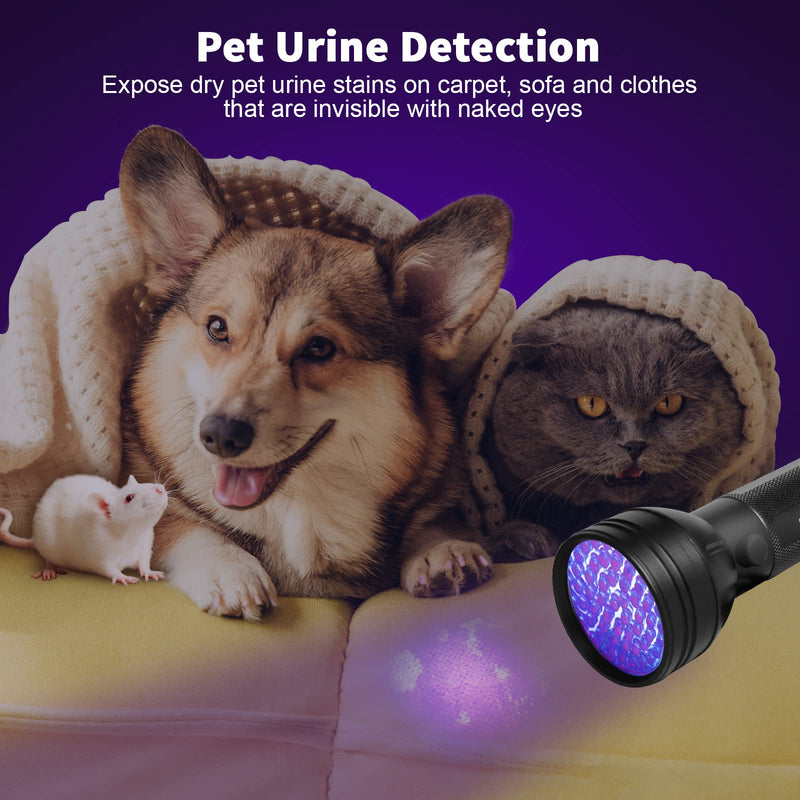 [Australia - AusPower] - Escolite UV Flashlight Black Light, 51 LED 395 nM Ultraviolet Blacklight Detector for Dog Urine, Pet Stains and Bed Bug 1 Count (Pack of 1) 