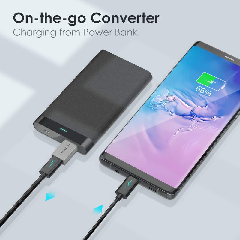 [Australia - AusPower] - LENTION USB C Female to USB A Male Adapter (2-Packs), Type C to Type A Charger Converter Compatible with Laptops, iPhone 11 12 13 Pro Max, New iPad Pro / iPad Air 4, More, Stable Driver Adapter (Gray) Space Gray 