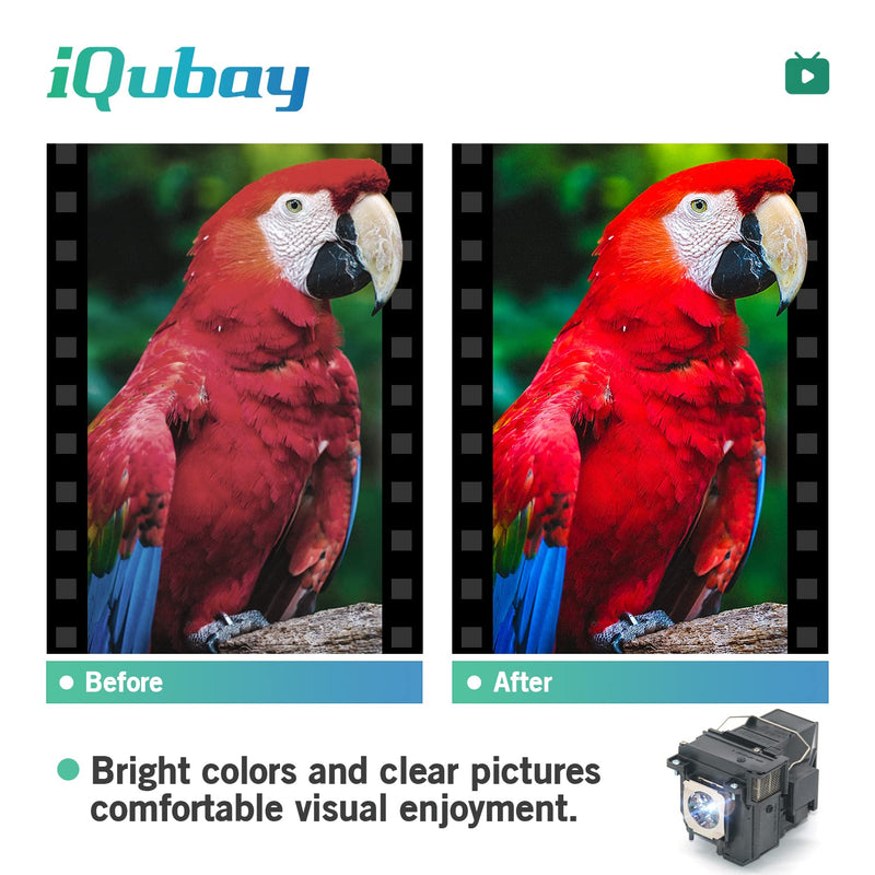 [Australia - AusPower] - iQubay V13H010L79 / V13H010L80 Replacement Projector Lamp Bulb for Epson ELPLP79 / ELPLP80 PowerLite EB-570 EB-575Wi 580 BrightLink 575Wi 595Wi Pro 1420Wi 585WI 1420WI 1430WI EB-585W 585 V11H605041 