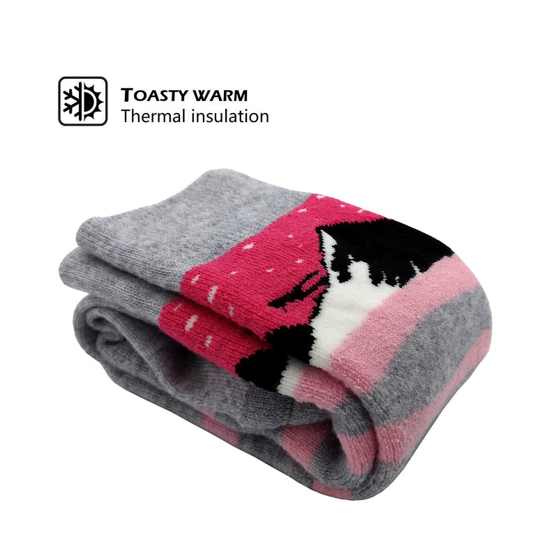 [Australia - AusPower] - HIGHCAMP Kids Merino Wool Ski Snowboard Socks Boy Girl Toddler Winter Snow Socks- 2 Pairs Medium Alps Pink 