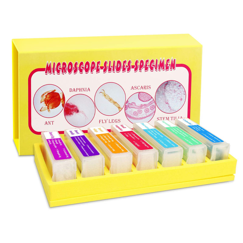 [Australia - AusPower] - Bysameyee 35PCS Prepared Microscope Slides with 7 Types Specimens, Insect/Plant Glass Sample Slide for Kids Adults Family Preschool Education Scientific Enlightenment 